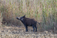 /album/foto-adriano/58a6321-copia-jpg/